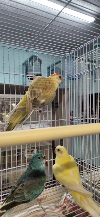 Abriana´s Pet Shop Picture 1