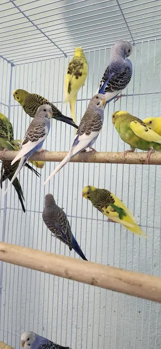 Abriana´s Pet Shop Picture 7