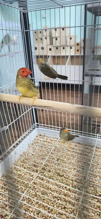 Abriana´s Pet Shop Picture 3