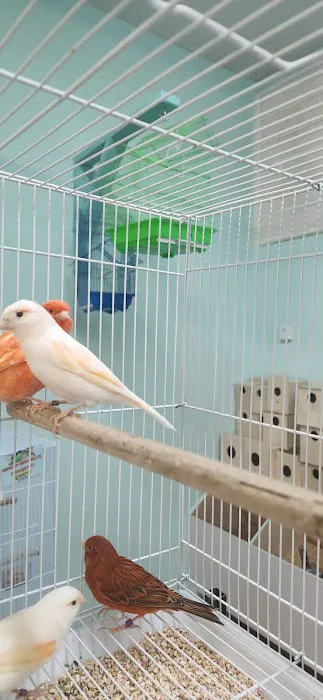Abriana´s Pet Shop Picture 5