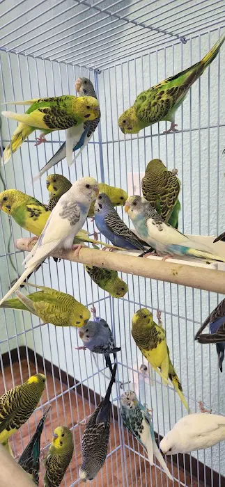 Abriana´s Pet Shop Picture 4