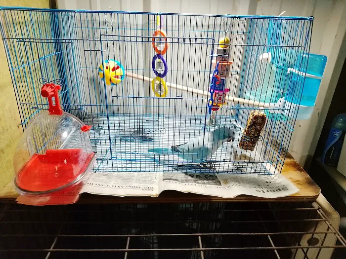 Abriana´s Pet Shop Picture 8