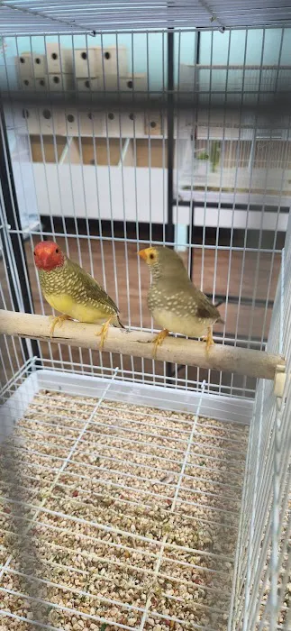 Abriana´s Pet Shop Picture 6
