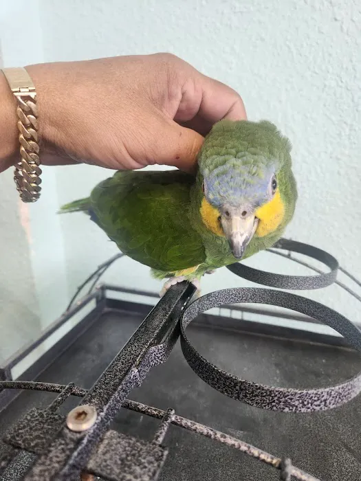 Abriana´s Pet Shop Picture 9