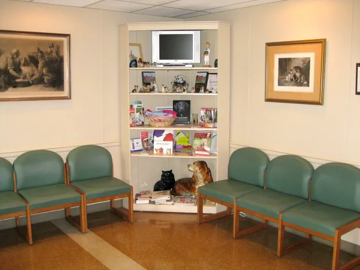 VCA Herndon-Reston Animal Hospital Picture 5