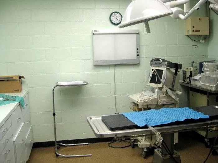 VCA Herndon-Reston Animal Hospital Picture 3