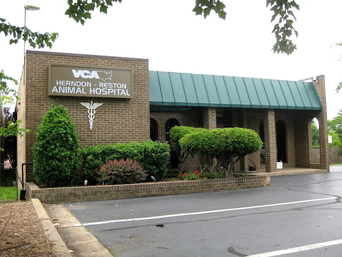 VCA Herndon-Reston Animal Hospital Picture 2