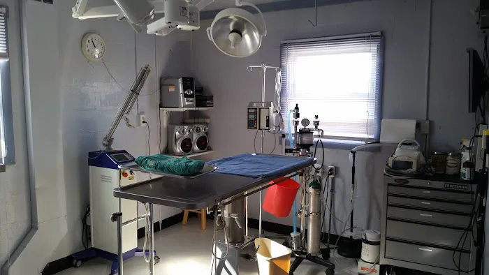 Dominion Animal Hospital Picture 3