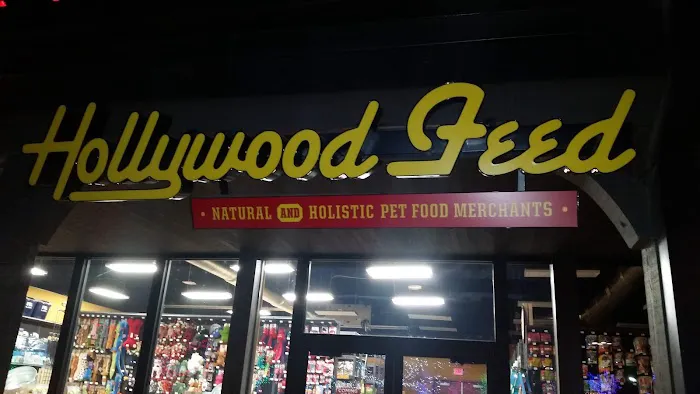 Hollywood Feed Picture 1