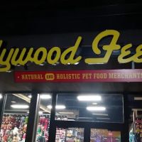 Hollywood Feed ico