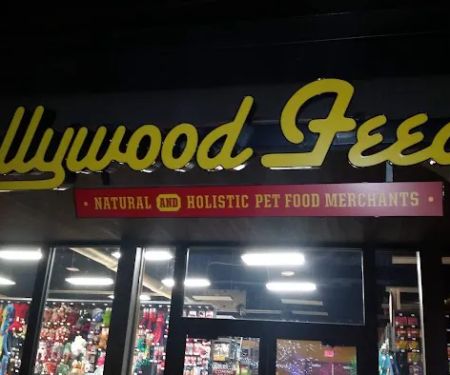 Hollywood Feed