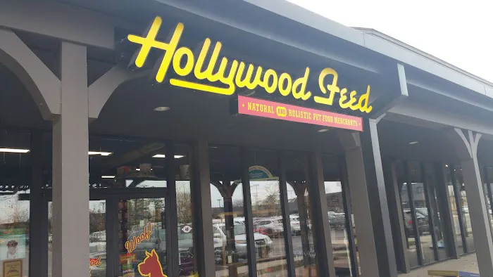 Hollywood Feed Picture 4