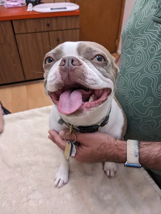 Reston Animal Hospital Picture 9
