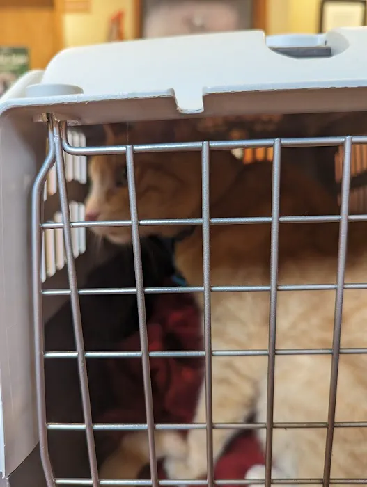 Reston Animal Hospital Picture 6
