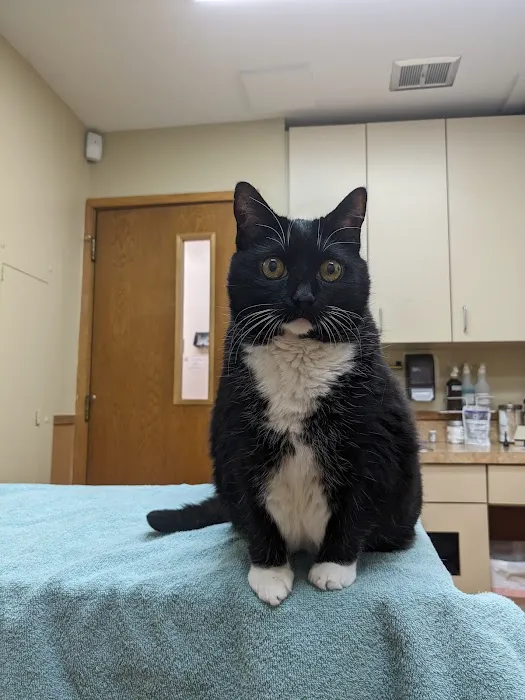 Reston Animal Hospital Picture 10