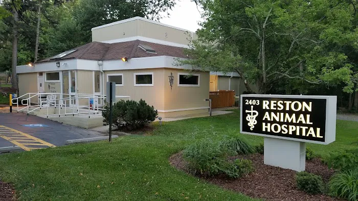 Reston Animal Hospital Picture 2