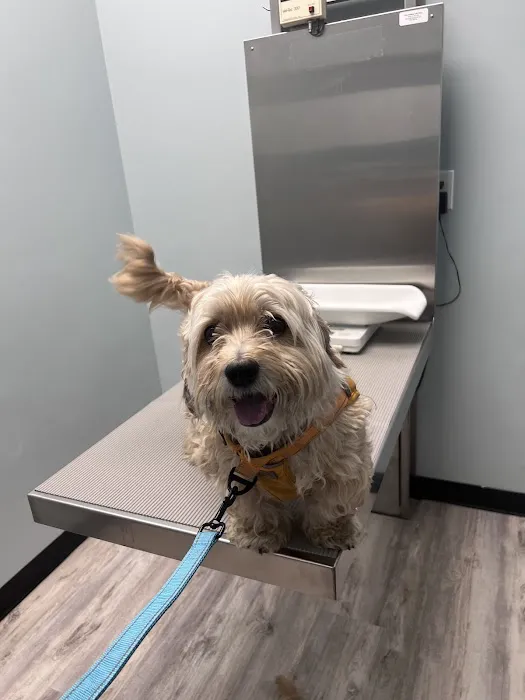 Heritage Animal Hospital Picture 8