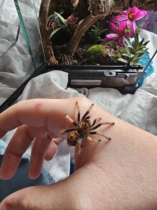 Anything For A Bug LLC Pet Shop Picture 10