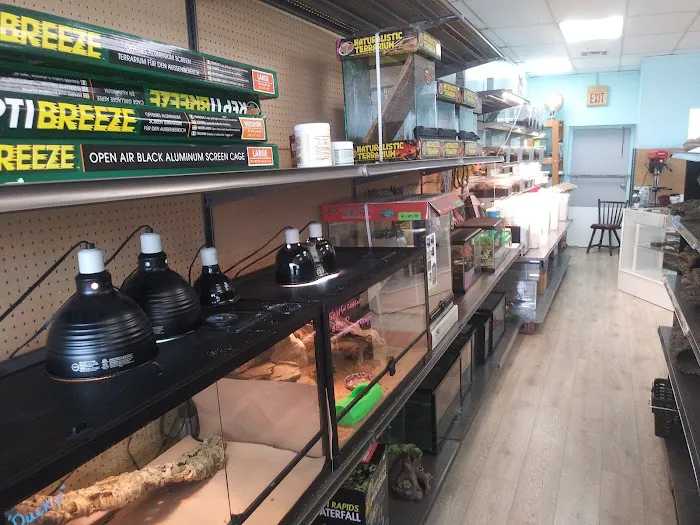 Anything For A Bug LLC Pet Shop Picture 6