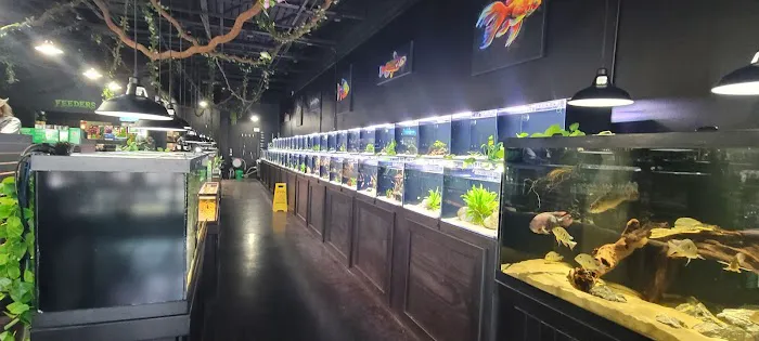 Exotic Pets OKC Picture 4