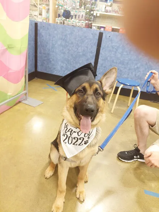 Banfield Pet Hospital Picture 5