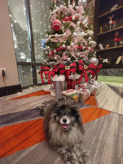 Banfield Pet Hospital Picture 8