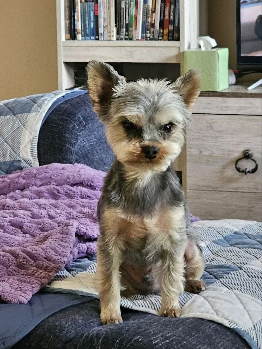 Banfield Pet Hospital Picture 2