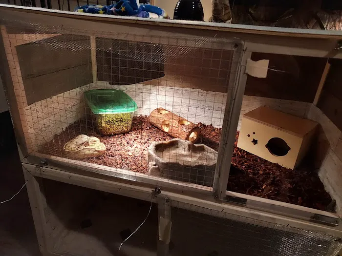 Wilbanks Captive Bred Reptiles Picture 3