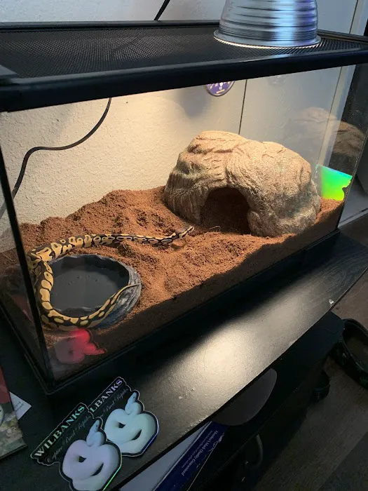 Wilbanks Captive Bred Reptiles Picture 7