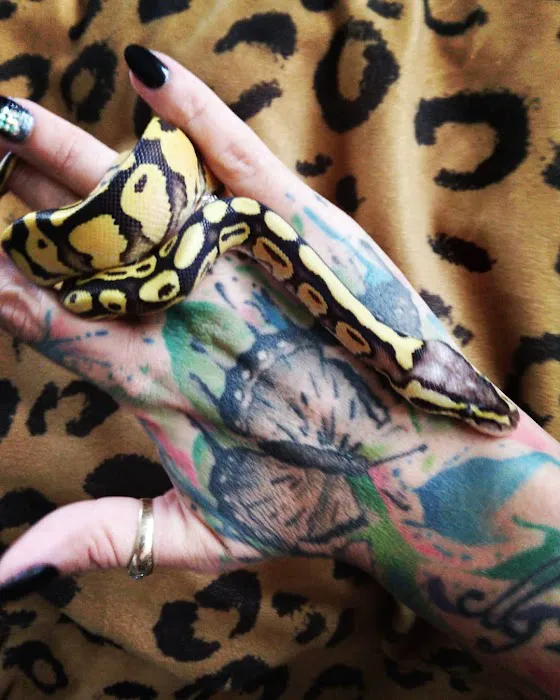 Wilbanks Captive Bred Reptiles Picture 5