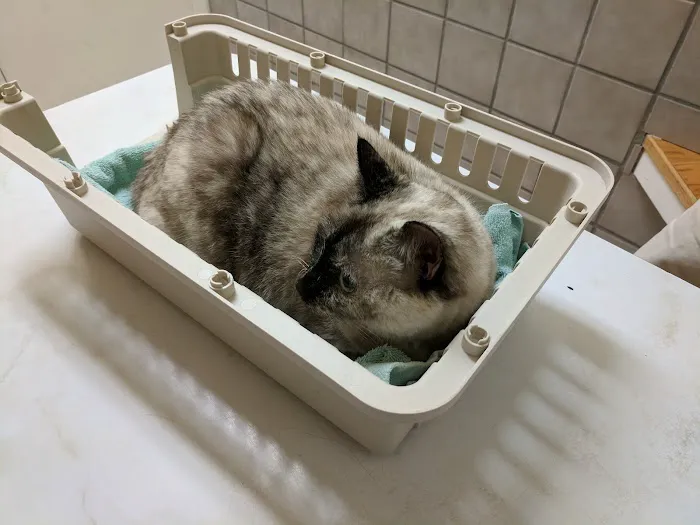 Sterling Park Animal Hospital Picture 3