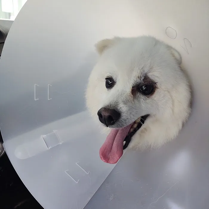 Sterling Park Animal Hospital Picture 10