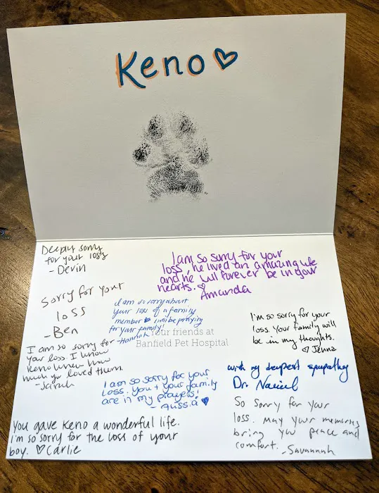 Banfield Pet Hospital Picture 5