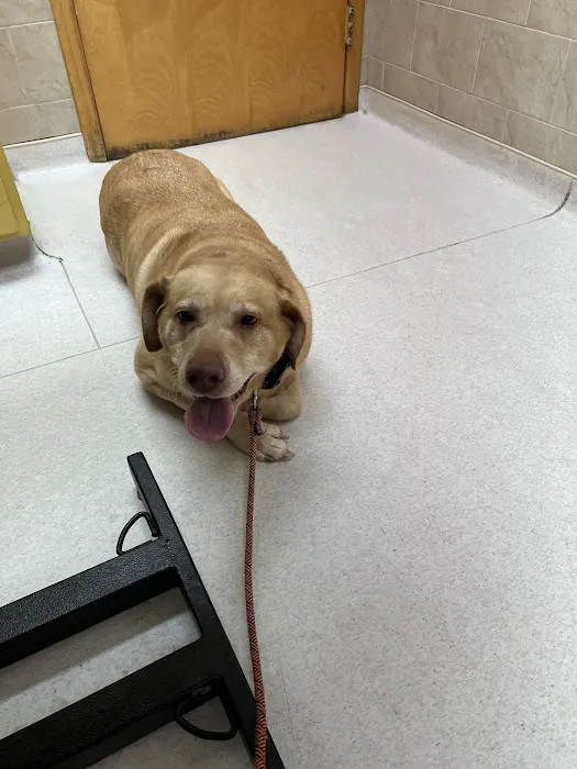 Vienna Animal Hospital Picture 9