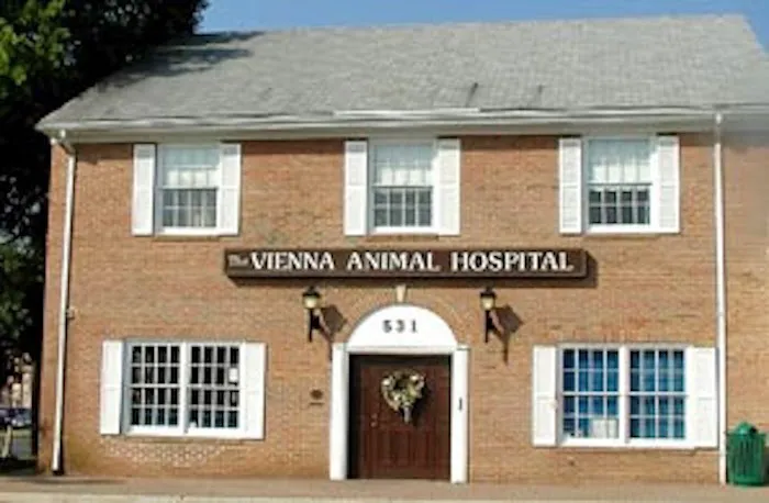 Vienna Animal Hospital Picture 4