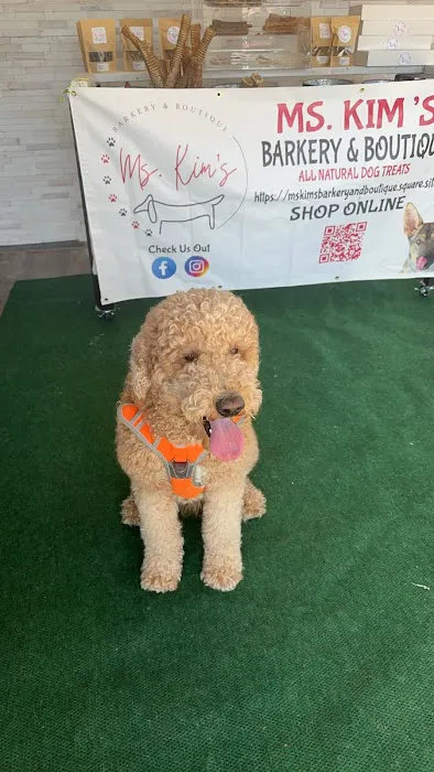 Ms. Kims Barkery and Boutique Picture 5