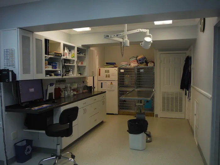 Oakton-Vienna Veterinary Hospital Picture 5