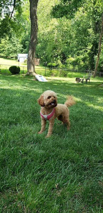 Oakton-Vienna Veterinary Hospital Picture 4