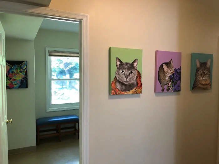 Oakton-Vienna Veterinary Hospital Picture 6