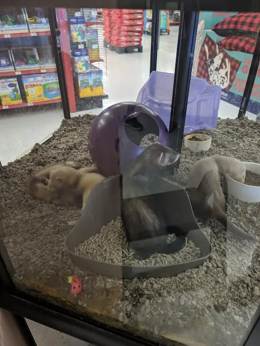 Petco Picture 1