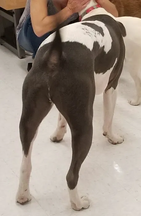 Petco Picture 3