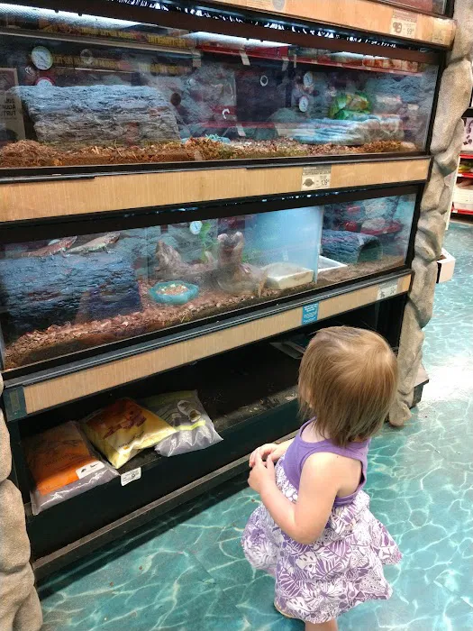 Petco Picture 2