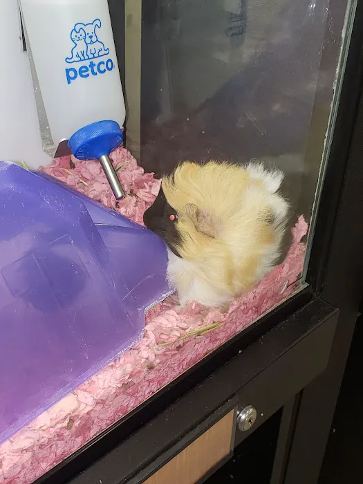 Petco Picture 6
