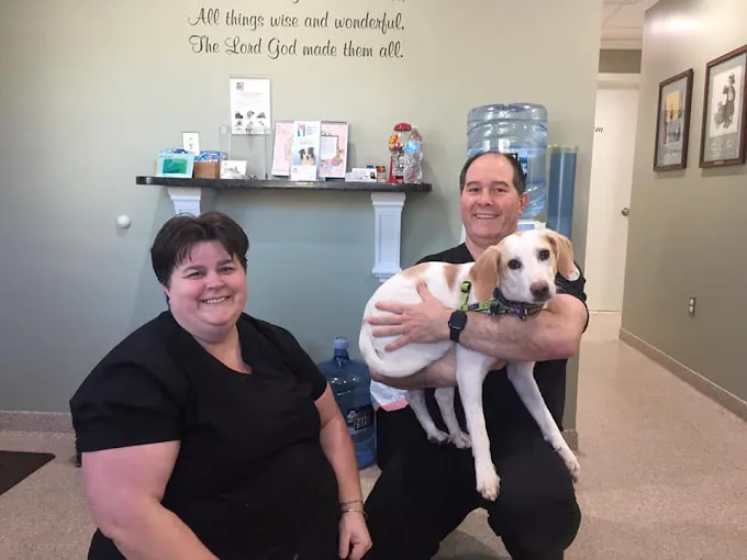 Animal Dental Clinic Picture 3