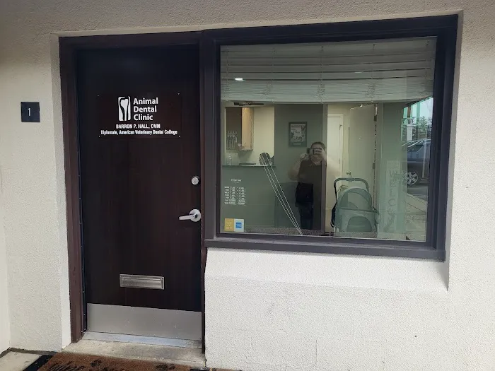 Animal Dental Clinic Picture 5