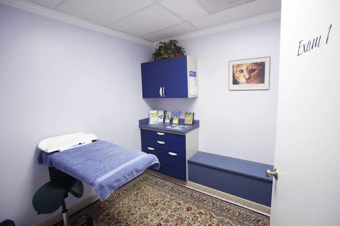 Animal Dental Clinic Picture 10