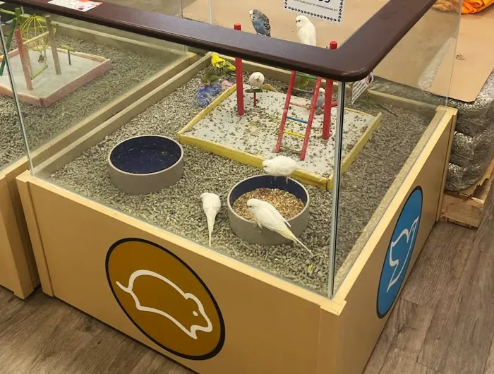 Petland Oklahoma City Picture 6