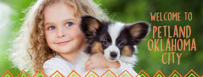 Petland Oklahoma City Picture 8