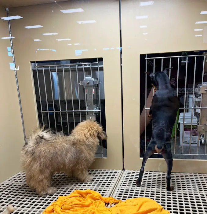 Petland Oklahoma City Picture 9