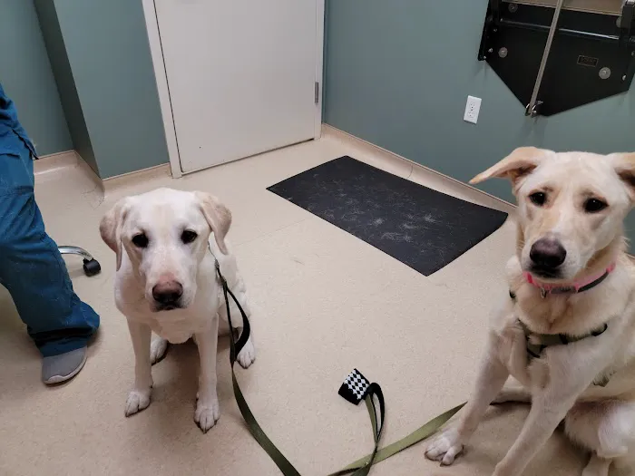 Clocktower Animal Hospital Picture 3